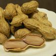 活力鍋で生落花生を茹でてみよう!