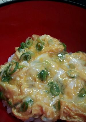 １人ランチに♪ぱぱっと玉子丼☆-レシピのメイン写真