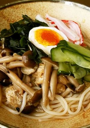 冷やし麺に大根下ろし入り汁かけ！-レシピのメイン写真
