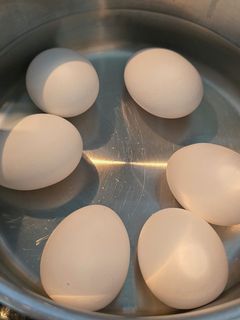 ゆで卵-レシピのメイン写真