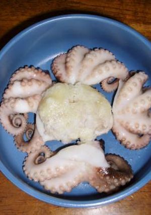 イイダコとからし酢味噌-レシピのメイン写真
