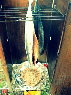 さんまの燻製-レシピのメイン写真