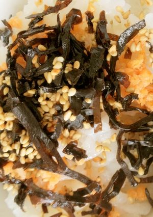 食欲がない日でも大丈夫！ふじっこ茶漬け-レシピのメイン写真