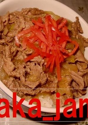 牛丼～吉野家風～☆-レシピのメイン写真