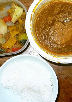 すき屋のカレー＋肉野菜のカレー風味炒め-レシピのメイン写真