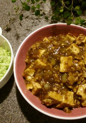 新！！お手軽カレーマーボー豆腐-レシピのメイン写真