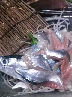 秋刀魚の刺身-レシピのメイン写真