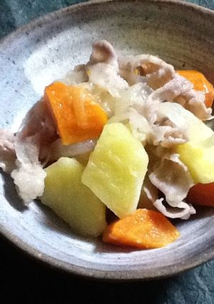 塩肉じゃが-レシピのメイン写真