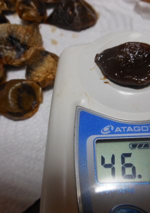 １０日間で出来る…「黒ニンニク」-レシピのメイン写真