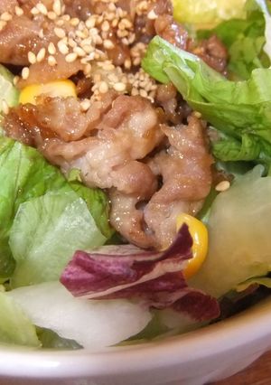 しょうが焼きどん-レシピのメイン写真