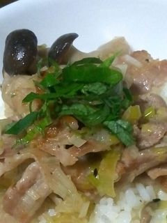 簡単!!ネギ塩豚丼豚丼-レシピのメイン写真