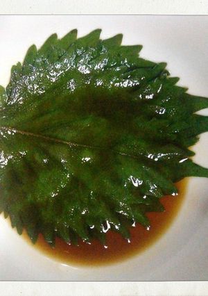 大葉の醤油漬け-レシピのメイン写真
