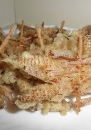 土筆(つくし)の天ぷら-レシピのメイン写真