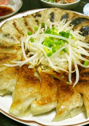 浜松餃子風タコ入たまねぎ餃子-レシピのメイン写真