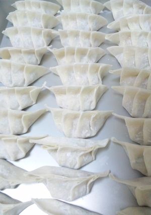 きゃべつたっぷり餃子-レシピのメイン写真