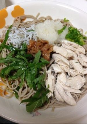 さっぱり☆梅肉入りのそば☆-レシピのメイン写真