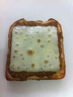 トーストでキーマカレーのリメイク-レシピのメイン写真