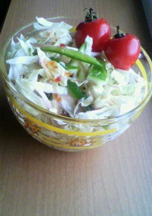自家製野菜オンリーサラダ-レシピのメイン写真