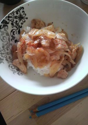 鶏ムネ肉と玉ねぎのどんぶり-レシピのメイン写真