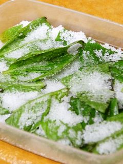塩バジル 保存術-レシピのメイン写真