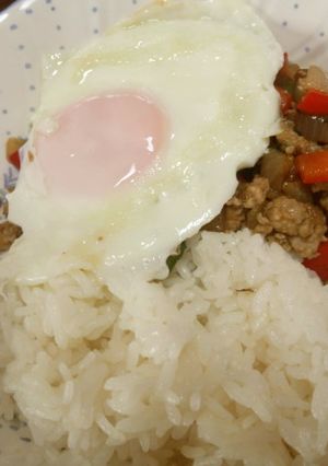 ムーガパオ(豚肉のガパオライス)-レシピのメイン写真