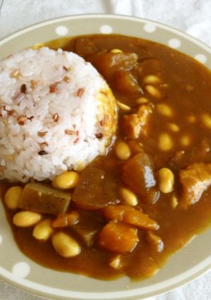 おでんカレー-レシピのメイン写真