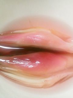 ピンク鮮やか☆ミョウガの甘酢漬け-レシピのメイン写真