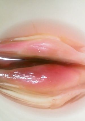 ピンク鮮やか☆ミョウガの甘酢漬け-レシピのメイン写真