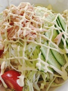 簡単サラダうどん-レシピのメイン写真