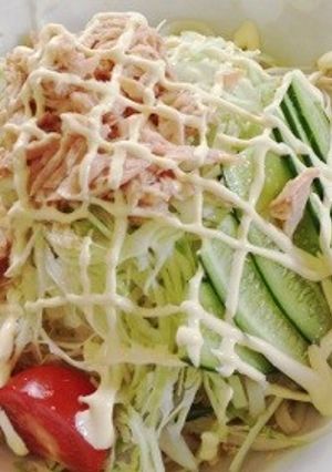 簡単サラダうどん-レシピのメイン写真