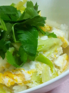 簡単一人ご飯☆汁だくネギたま丼-レシピのメイン写真