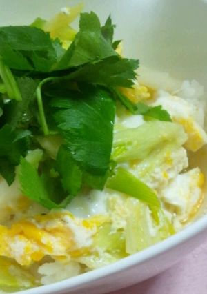 簡単一人ご飯☆汁だくネギたま丼-レシピのメイン写真