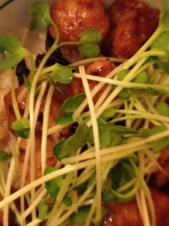 スーパーの焼き鳥でオリジナルタレ焼き鳥丼-レシピのメイン写真