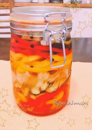 簡単マイルドピクルス-レシピのメイン写真