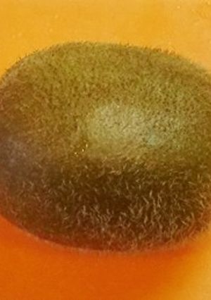 キウイの剥き方・冷凍保存-レシピのメイン写真