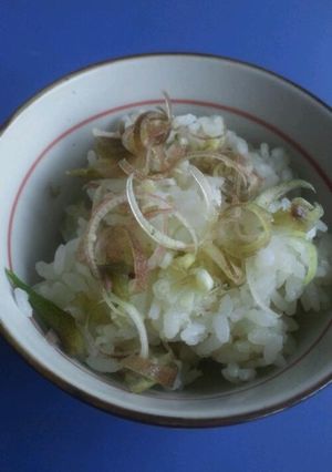 簡単茗荷ご飯-レシピのメイン写真