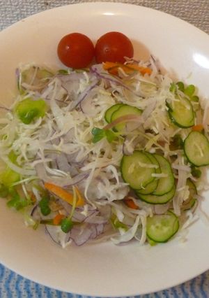 パパの野菜ミックスカルパッチョ-レシピのメイン写真