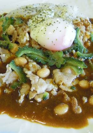 ✿すき家ル～deアンチエイジングカレー-レシピのメイン写真