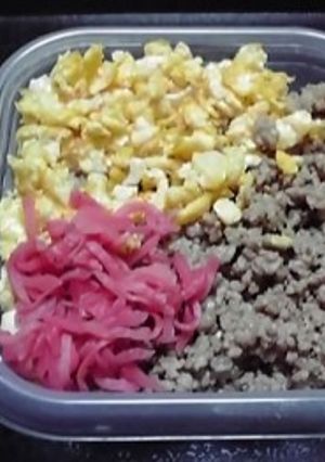 簡単弁当！　　二色丼+α-レシピのメイン写真