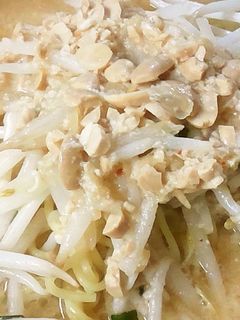 しゃきしゃきもやし味噌ラーメン-レシピのメイン写真