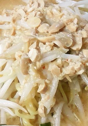 しゃきしゃきもやし味噌ラーメン-レシピのメイン写真