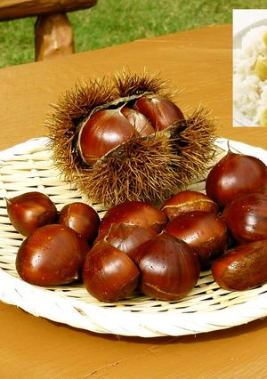 いつでも栗ご飯! 栗ご飯種の作り方-レシピのメイン写真