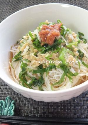 納豆オクラ梅のネバネバそうめん-レシピのメイン写真