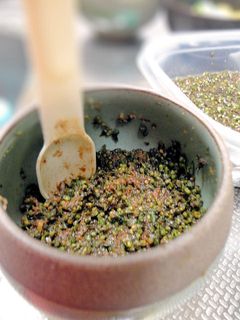 レンジで簡単☆紫蘇の実と鰹節の佃煮-レシピのメイン写真