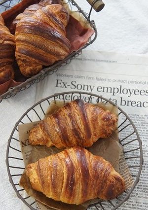 自家製酵母でクロワッサン-レシピのメイン写真
