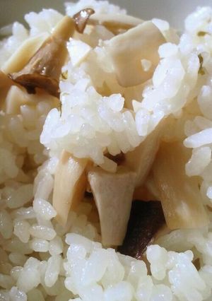 エリンギなのに！なんちゃってマツタケご飯-レシピのメイン写真