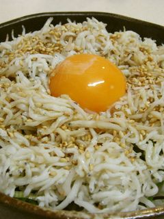 ごま油が香る☆釜揚げしらす丼-レシピのメイン写真