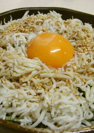 ごま油が香る☆釜揚げしらす丼-レシピのメイン写真