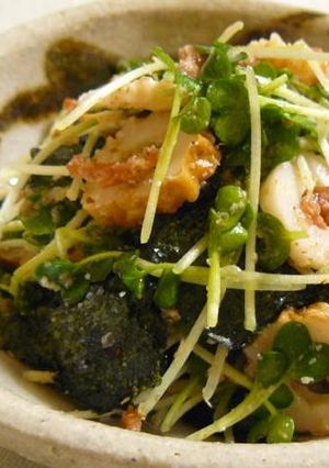 ✿竹輪とかいわれの梅ゴマ海苔和え✿-レシピのメイン写真