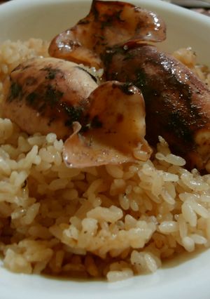 スイッチ・オン！　ズボラなイカ飯-レシピのメイン写真